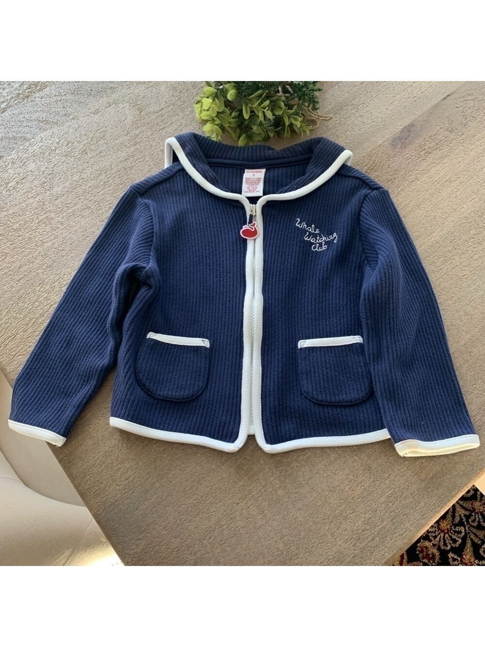 Gymboree Whale Watching Club Sweater Size 3
